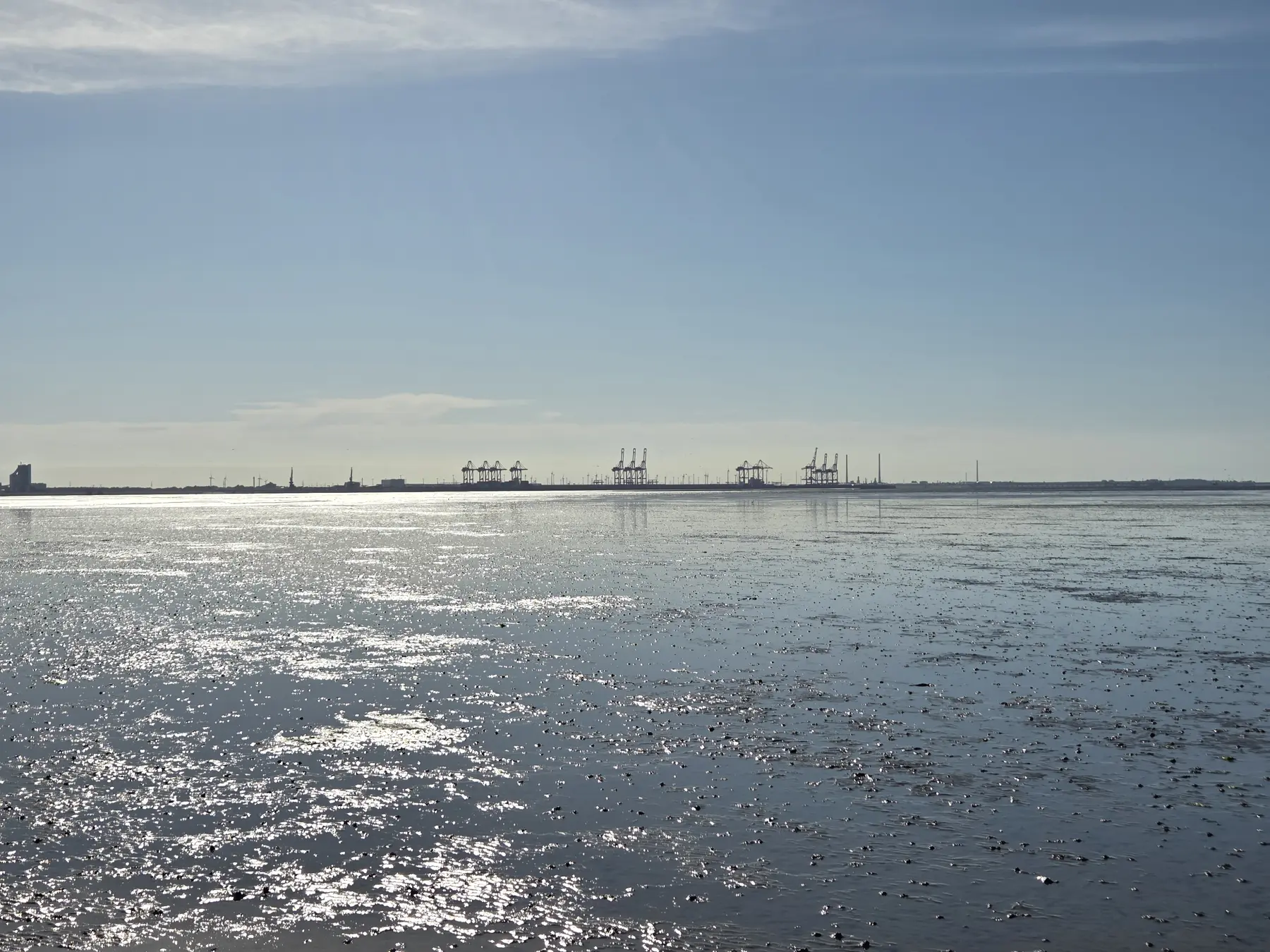 Blick über das glitzernde Watt bei Ebbe vor Tossens